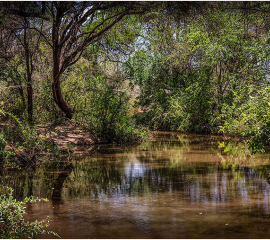 River Tana, Meru National Park 2023, Archival pigment print